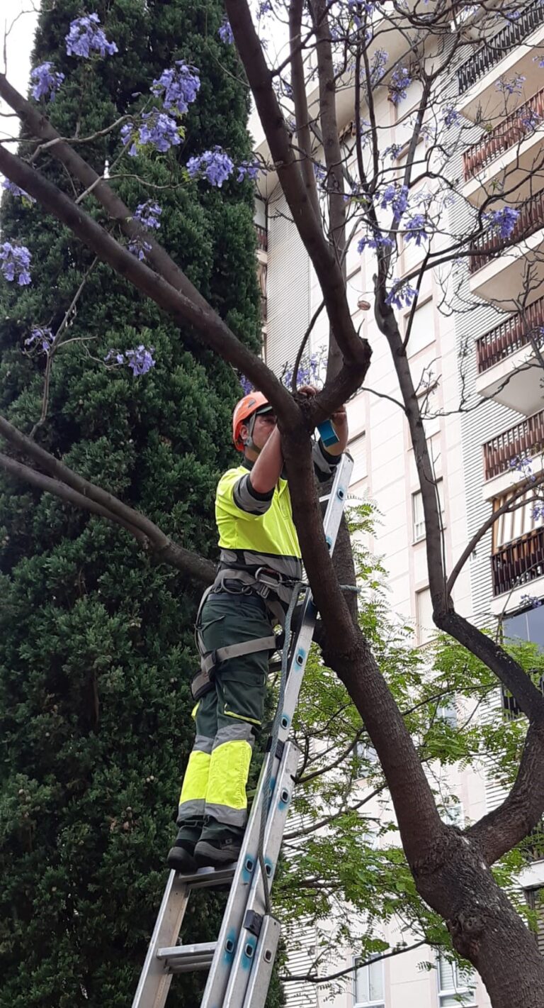 Fobesa inicia un proyecto de control integrado de plagas en Benicàssim