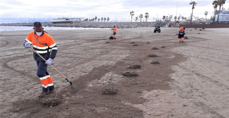Fovasa refuerza la limpieza de las playas de València debido al aumento de usuarios los fines de semana